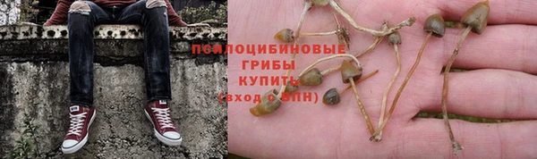 мяу мяу мука Богданович