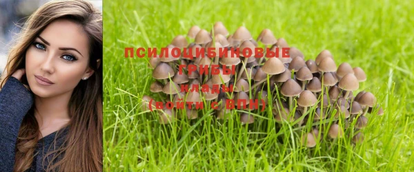 a pvp Богородицк