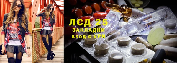 мяу мяу мука Богданович