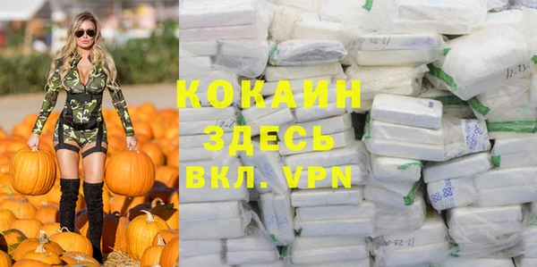 хмурый Богородск