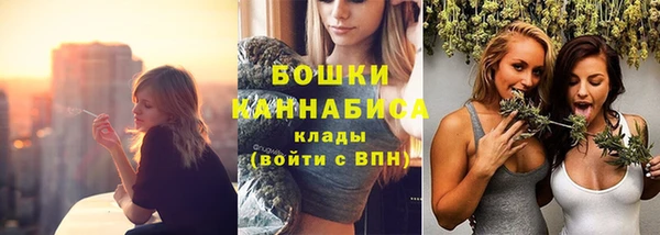 хмурый Богородск